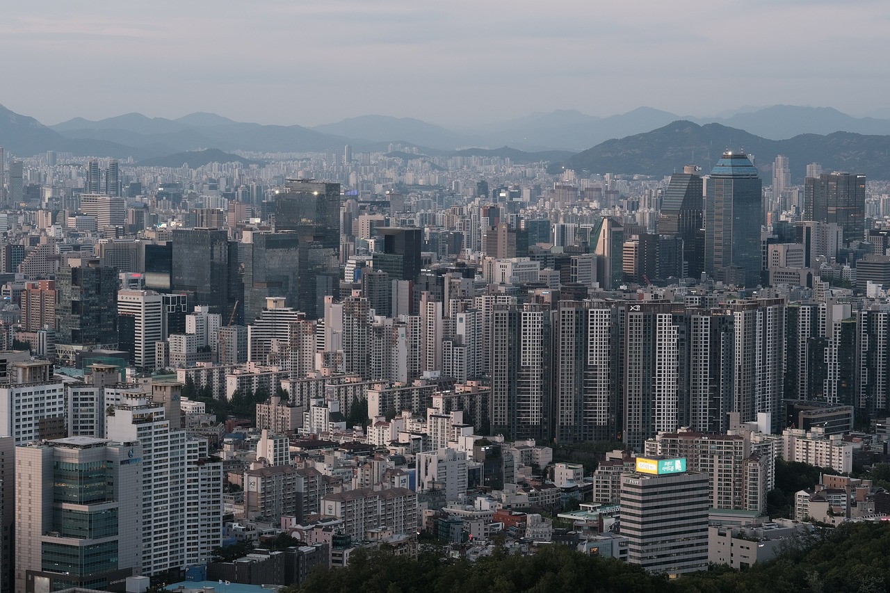 서울 신청