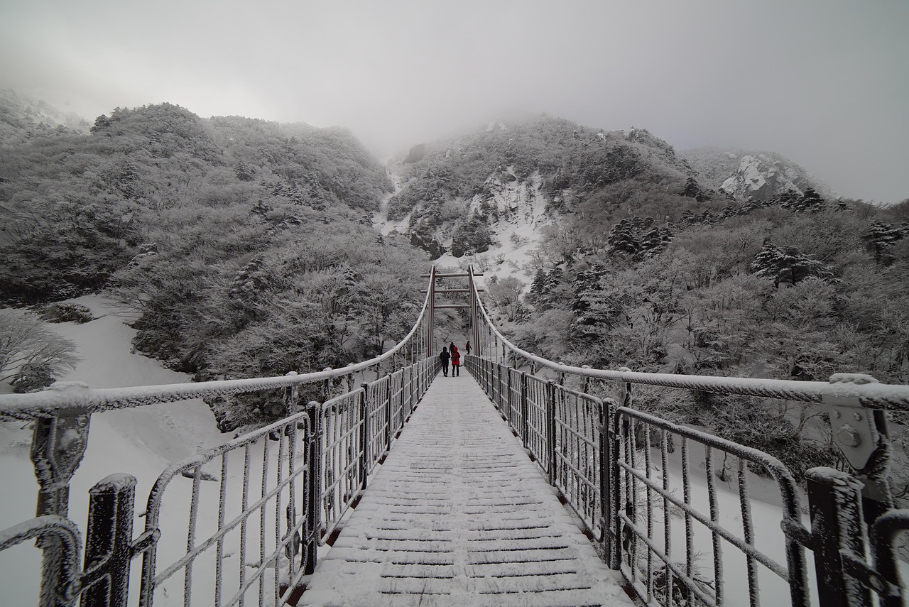 한라산 등반 신청