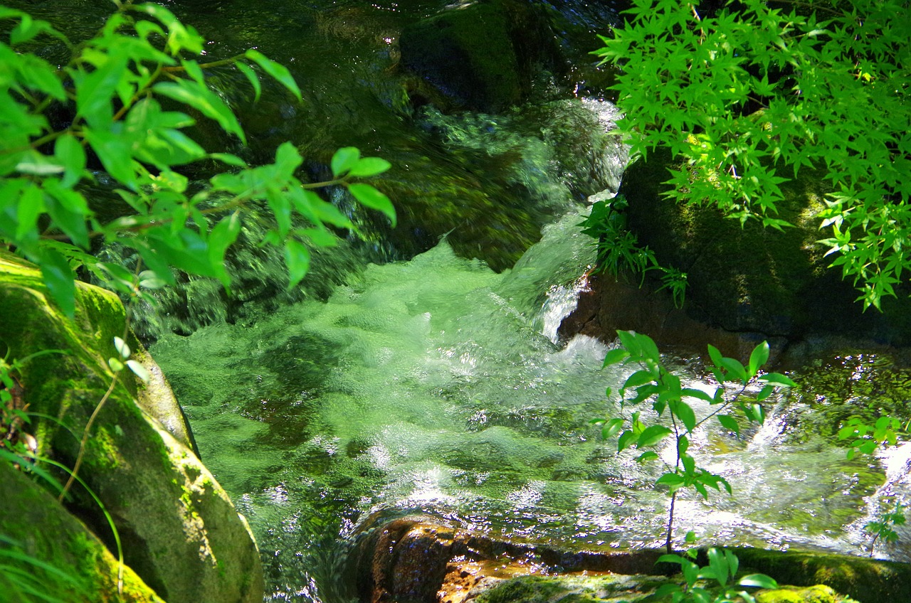 수원 꽃구경하기 좋은곳