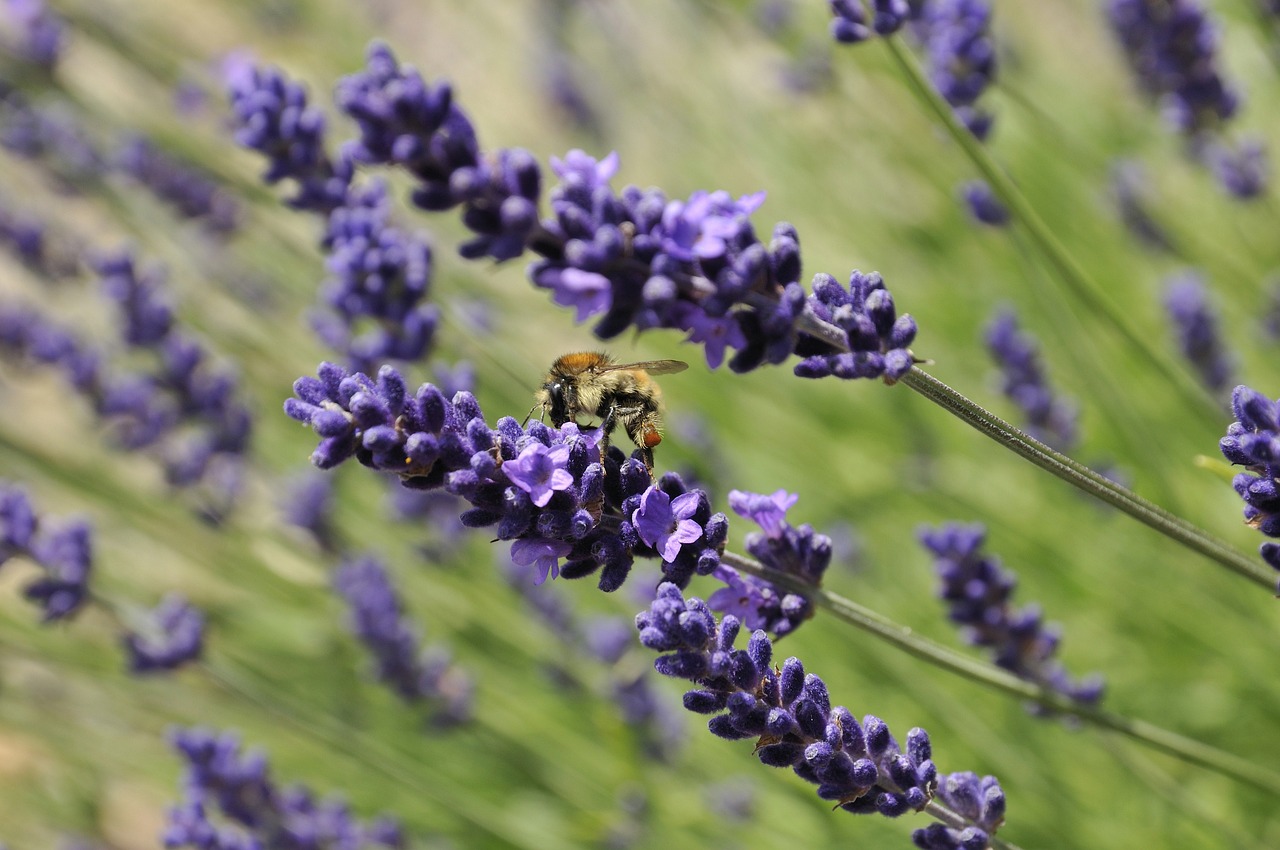 성신여대 휴학 신청