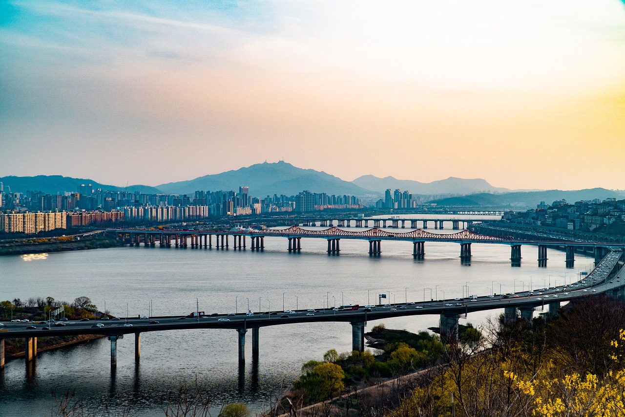 서울 신청